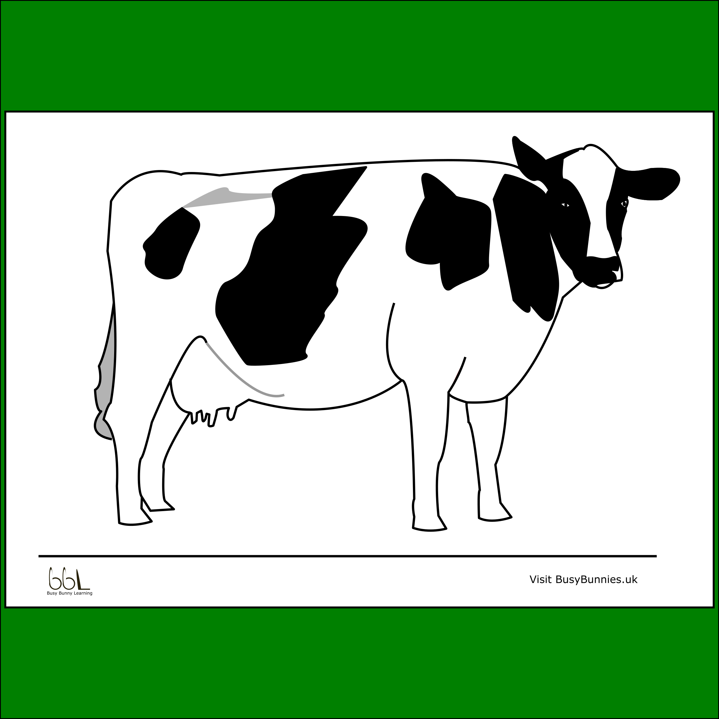Cow Colouring Sheet PDF