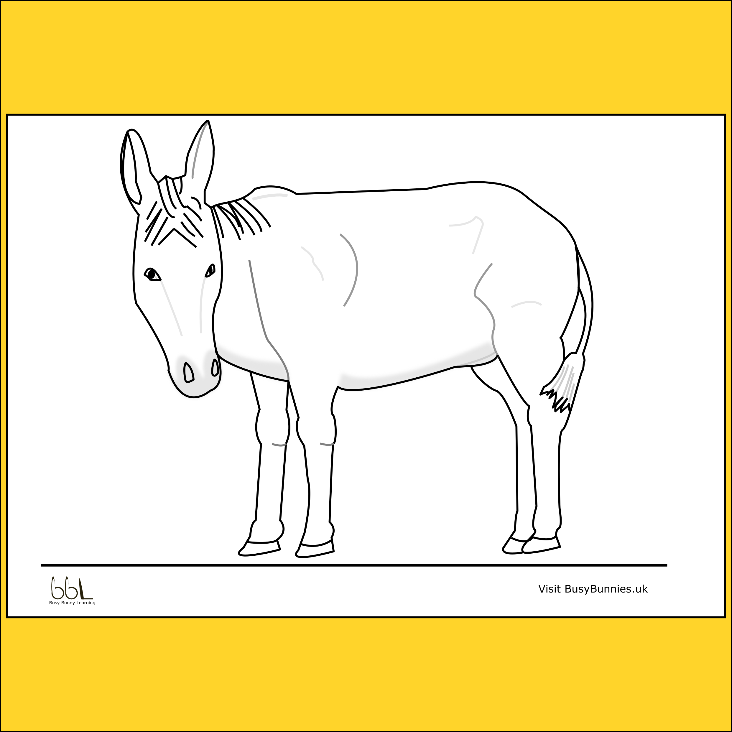 Donkey Colouring Sheet PNG