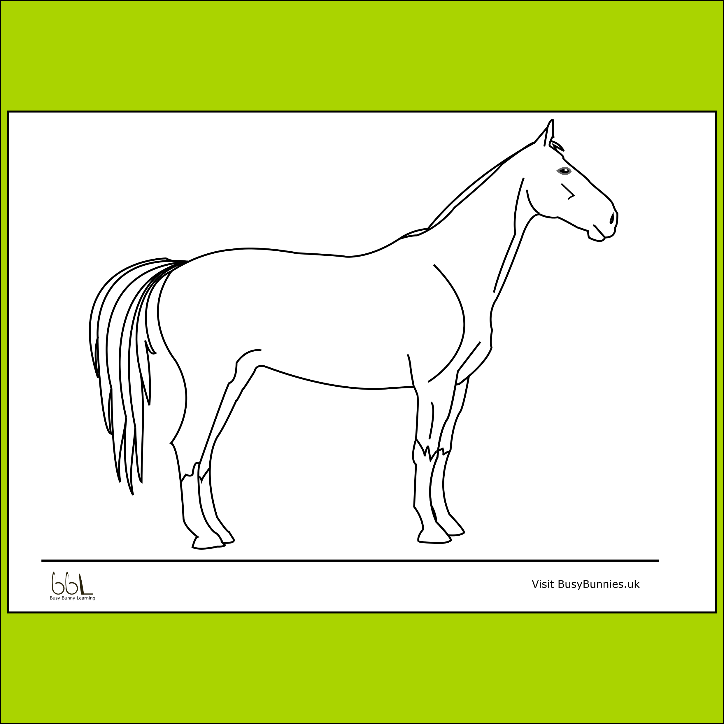 Horse colouring sheet PNG