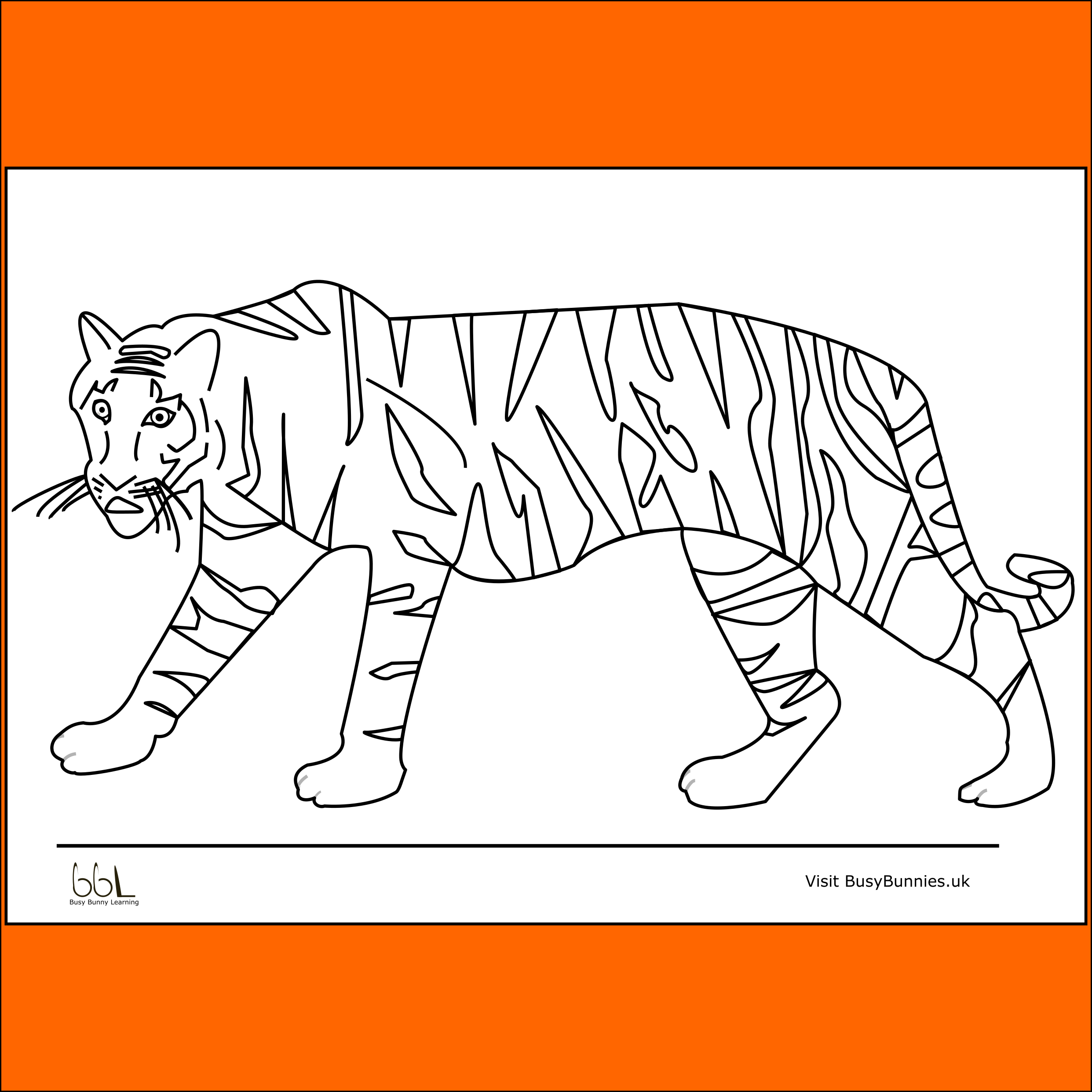 Tiger Colouring Sheet PNG