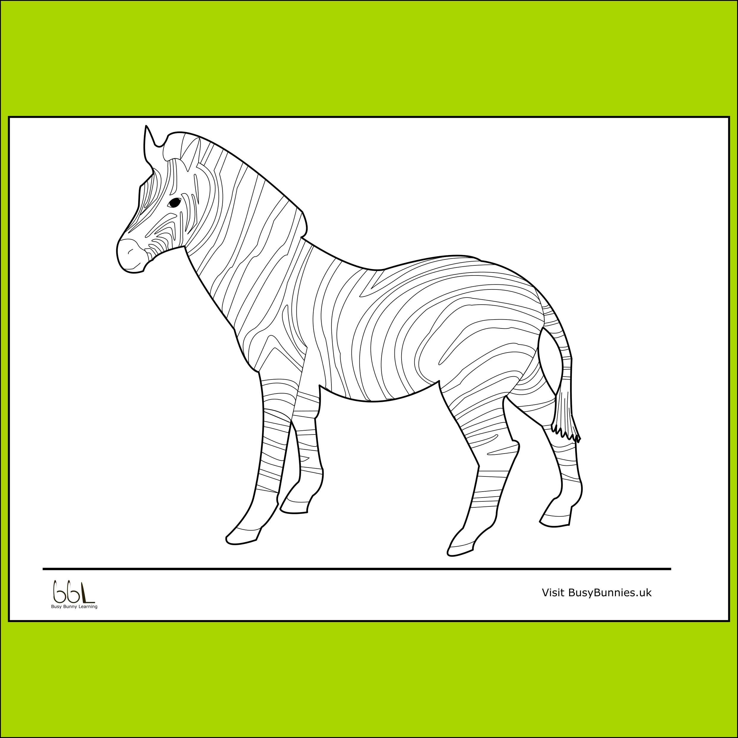 Zebra Colouring Sheet PNG