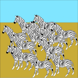 Zebra Herd PNG