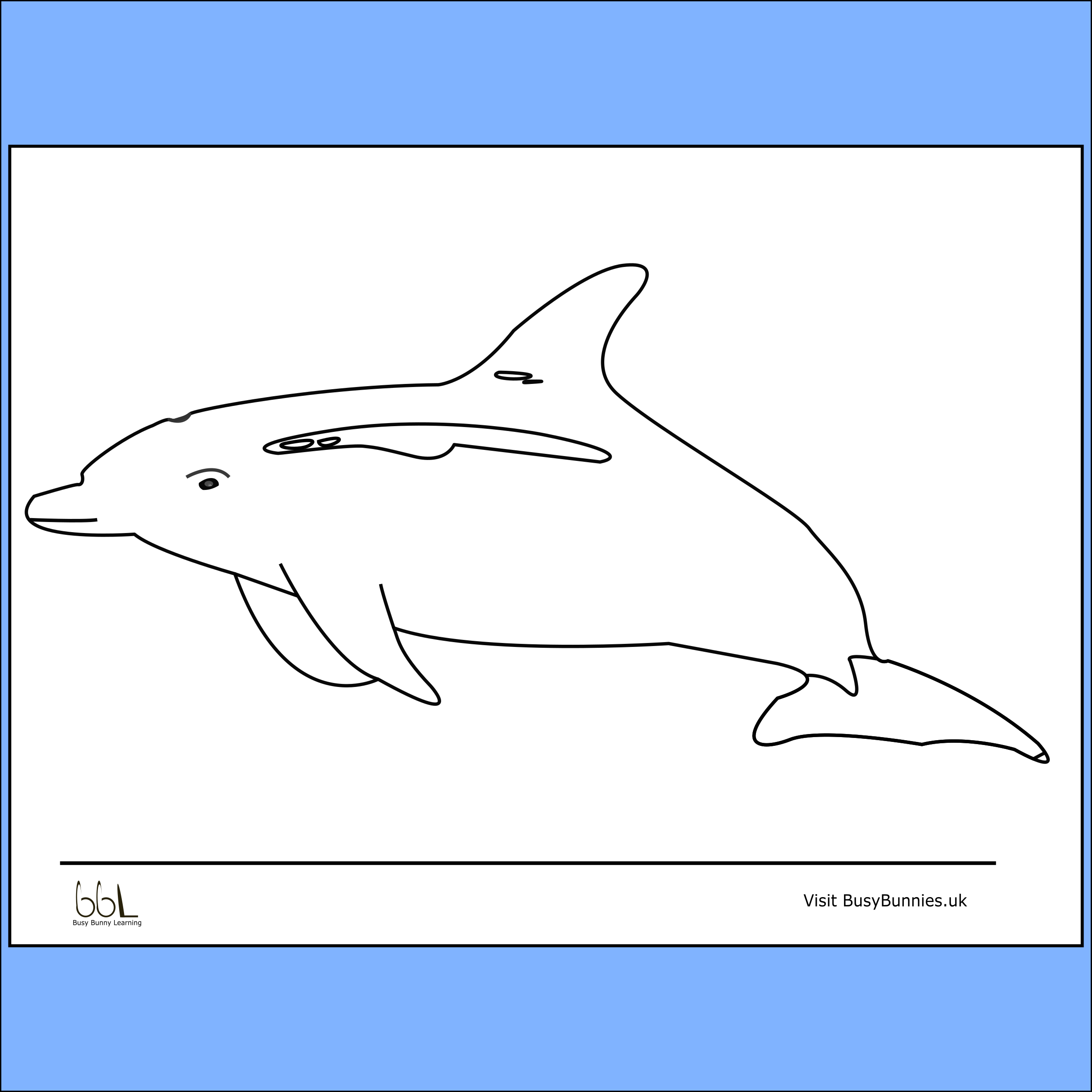 Dolphin Colouring Sheet PNG