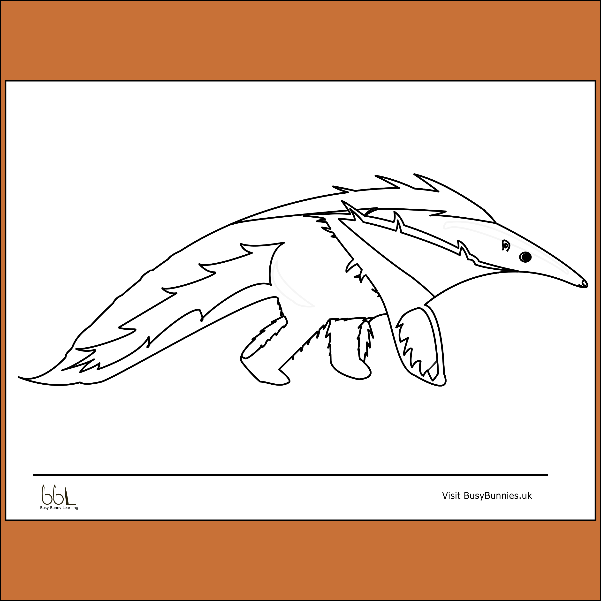 Giant Anteater Colouring Sheet