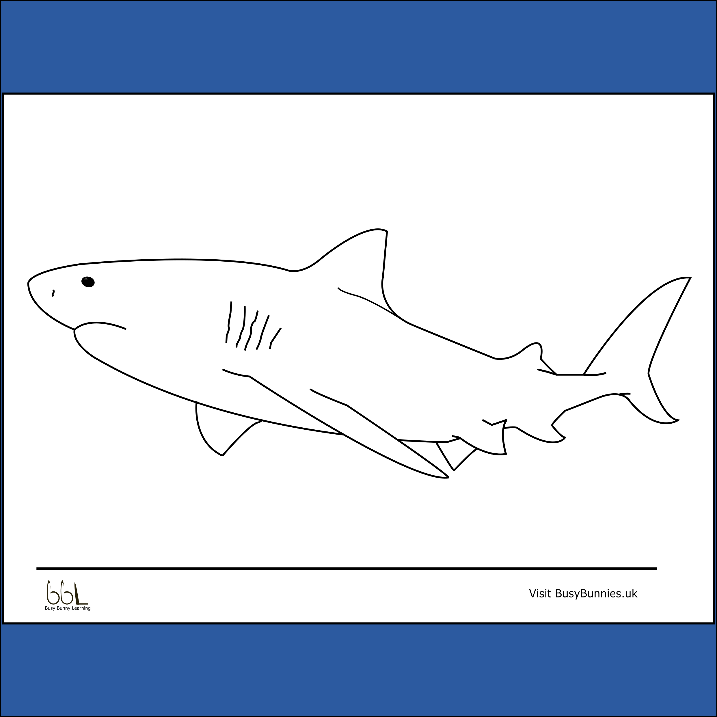 Shark Colouring Sheet PNG