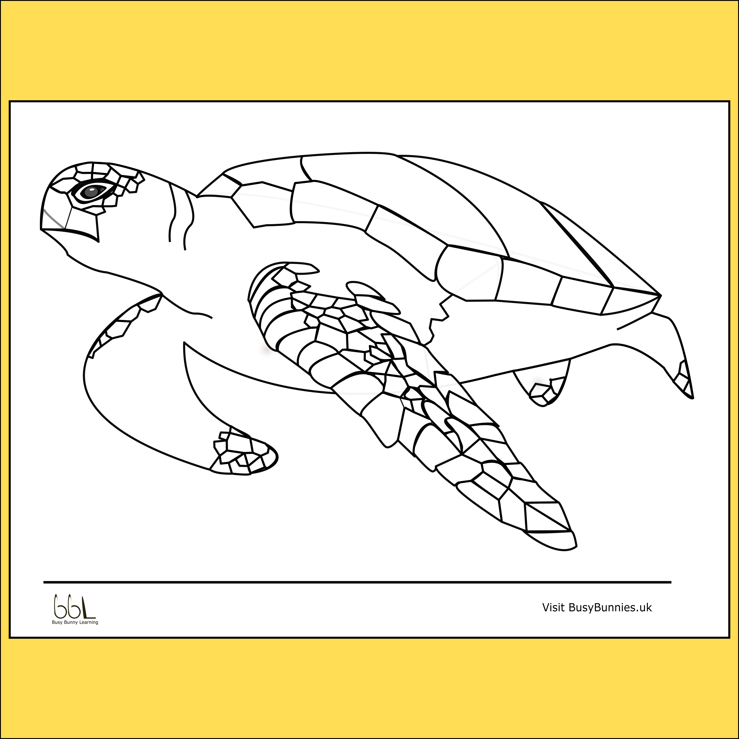 Turtle Colouring Sheet PNG