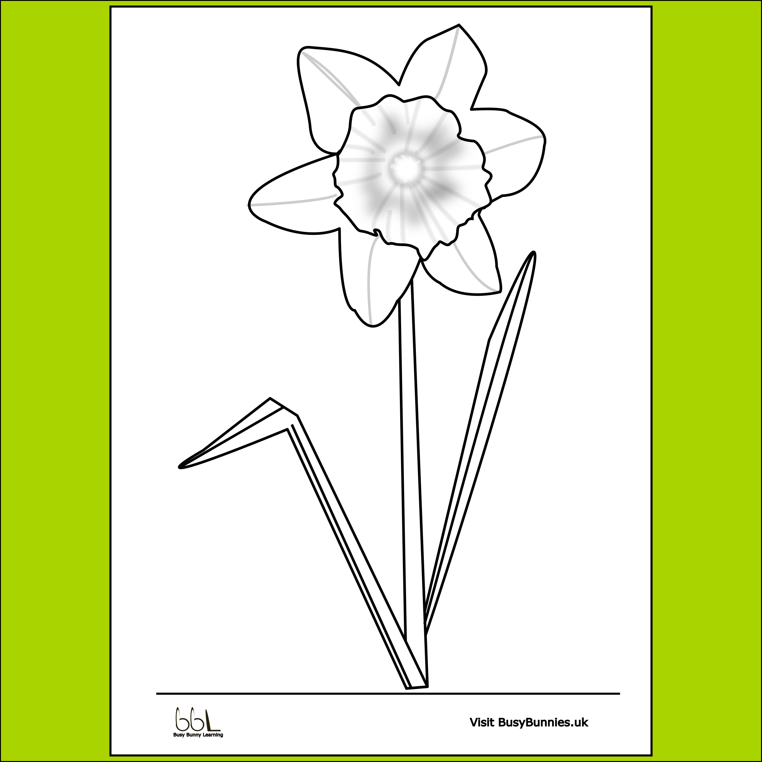 Daffodil Flower Colouring Sheet PNG