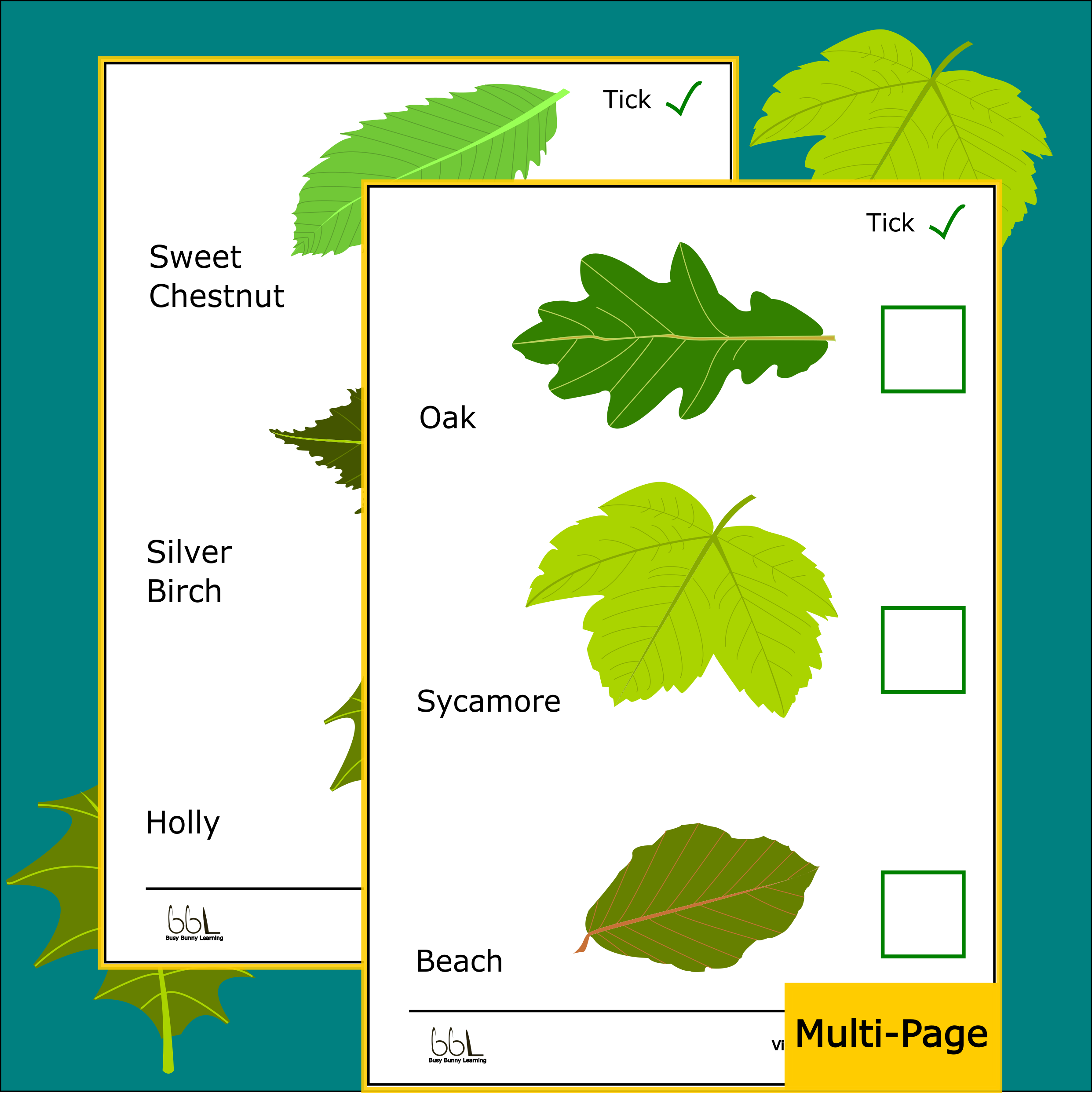 Leaf Finder Activity Sheets