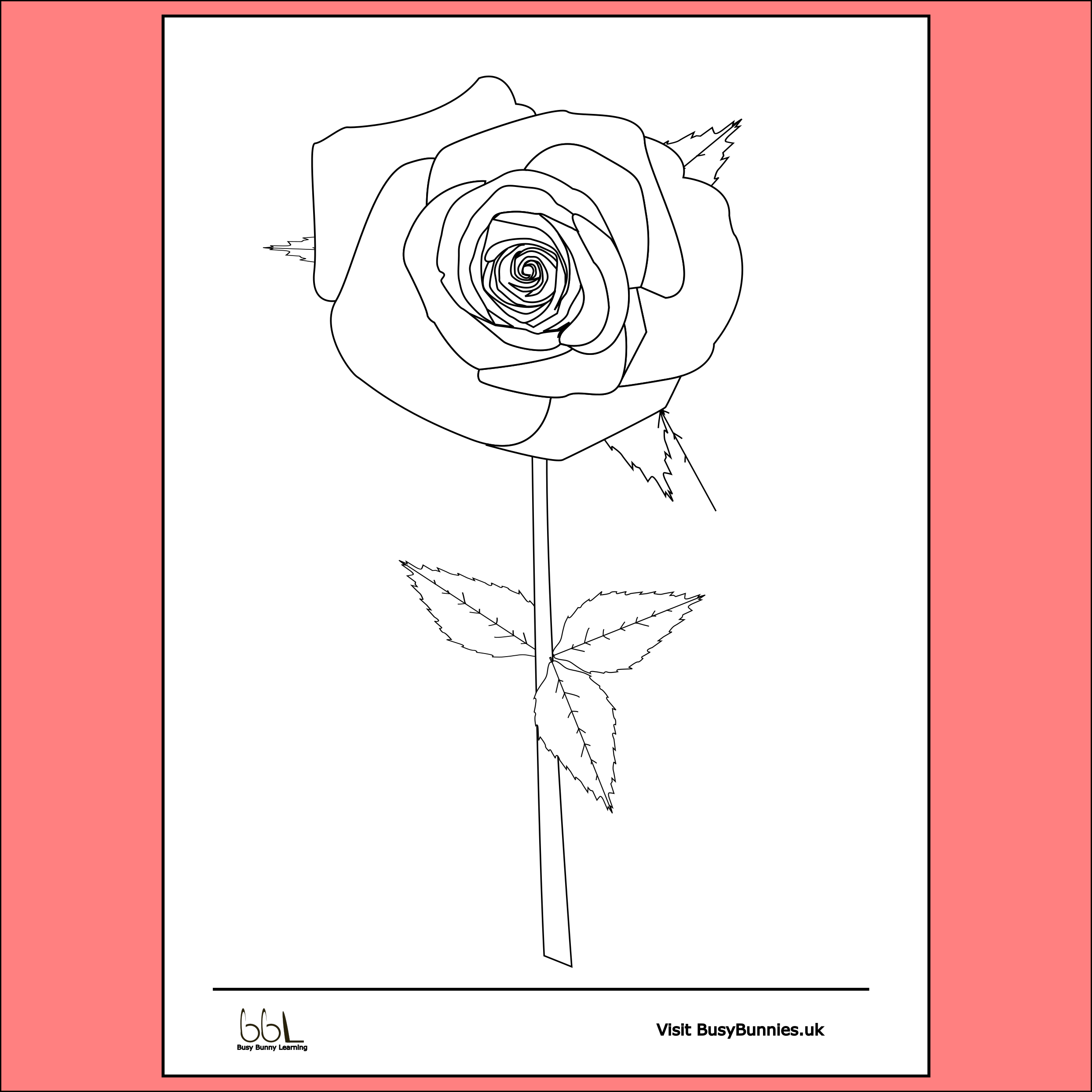 Rose Flower Colouring Sheet