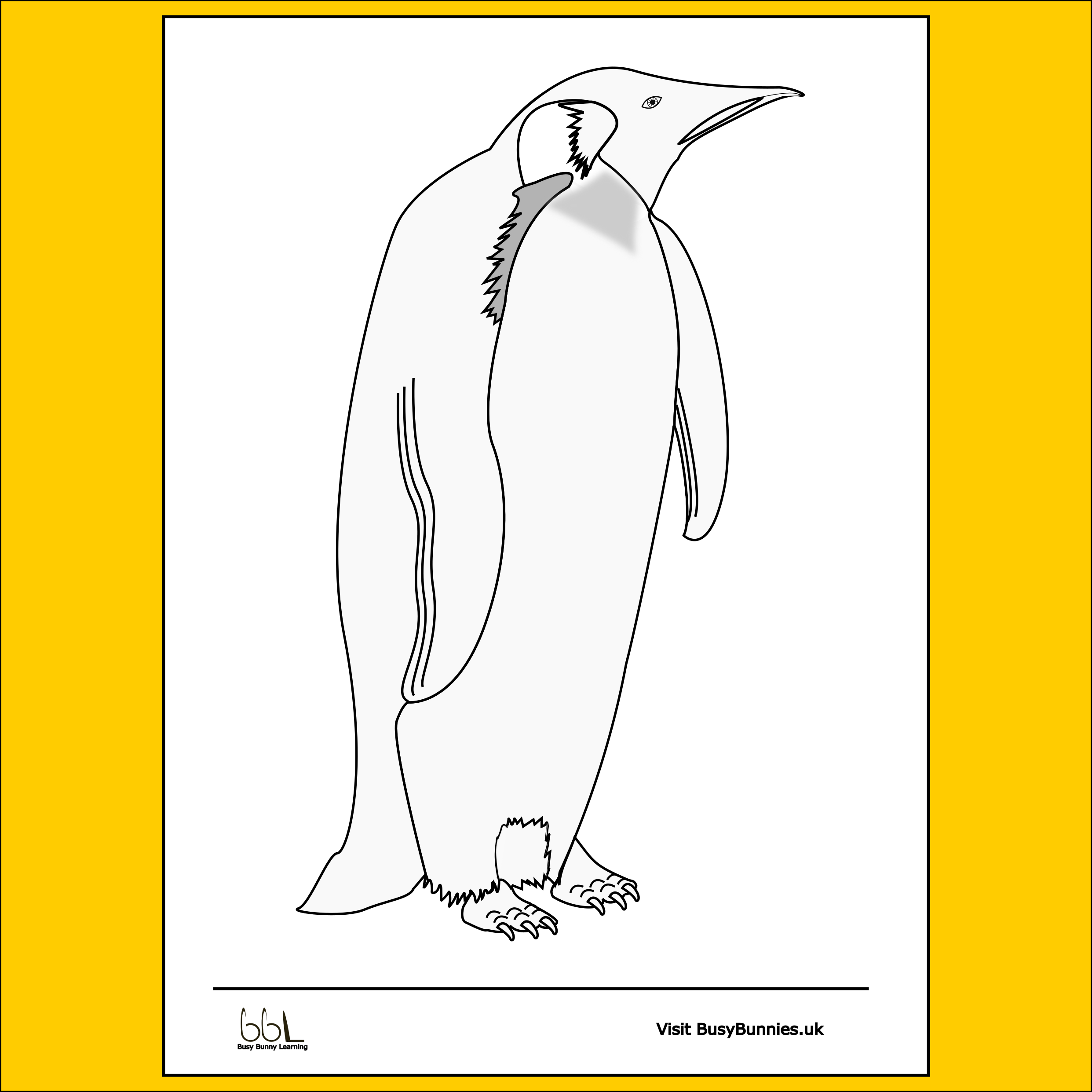 Emperor Penguin Colouring Sheet PNG